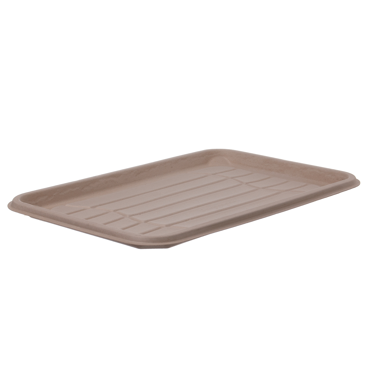 Catering Platte 46x30 cm Bagasse