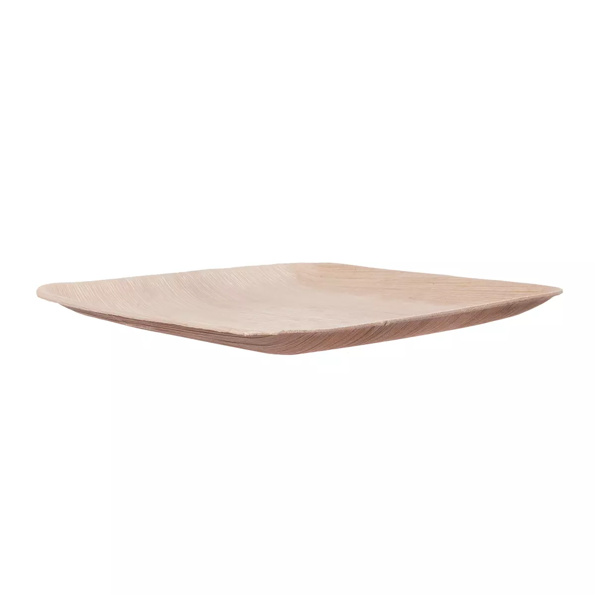Palmblatt Teller Eckig 24x24x2cm