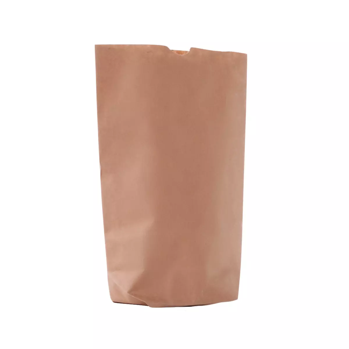 Natronbodenbeutel für 1,0kg 1-Lagig 17x26cm