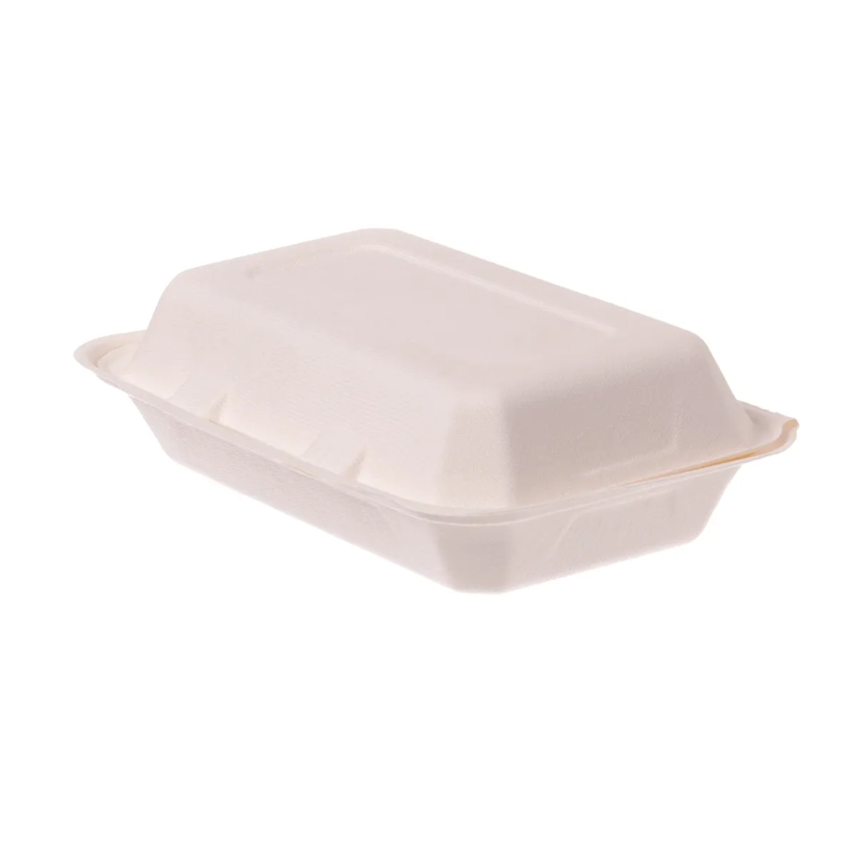 Lunchbox Bagasse IP10 | 162x244x72mm
