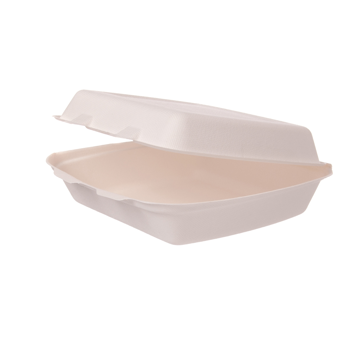 Menübox Ungeteilt IP4 Bagasse | 244x208x70mm