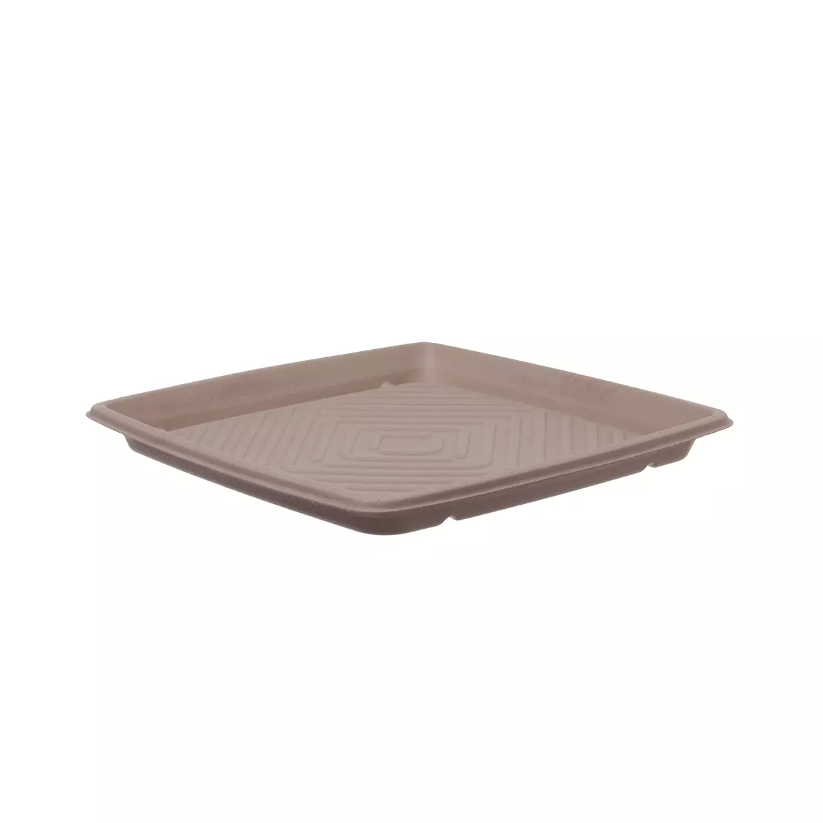 Catering Platte 31x31 cm Bagasse