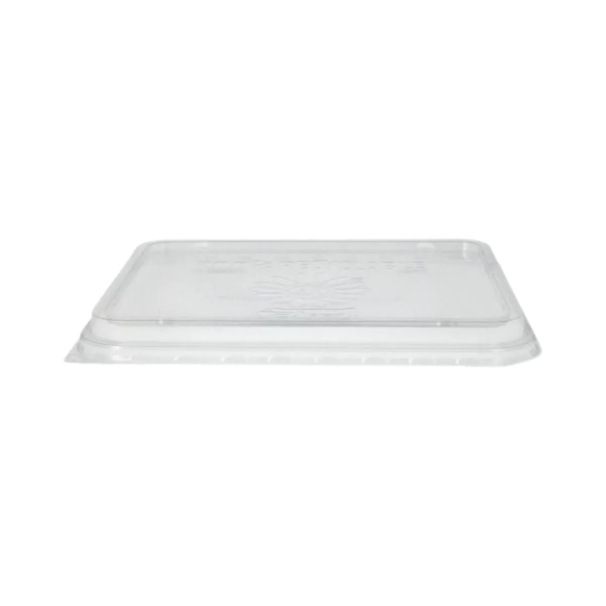 Menüschalen Deckel 234x187mm Gewölbt | rPET